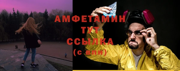 молекула духа Семёнов