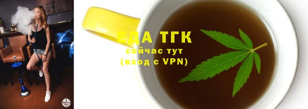 гашик Сатка