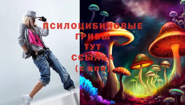 a pvp Богородицк