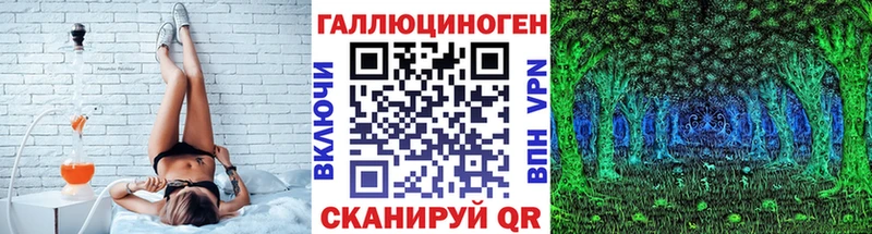 Галлюциногенные грибы Psilocybe Тогучин